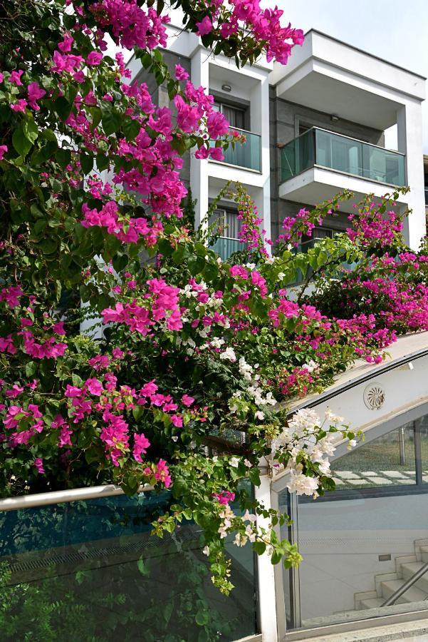 로얄 팜 레지던스 Bodrum 외부 사진